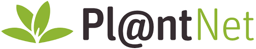 Navodila za delo
