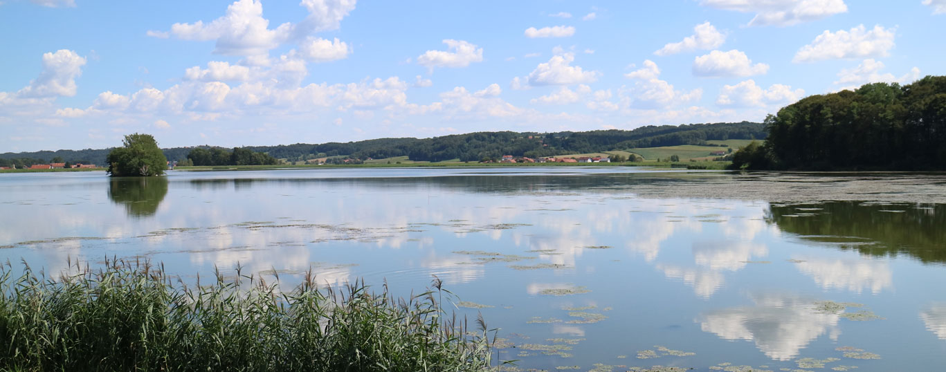 Gajševsko jezero