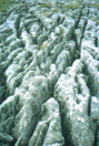 39a.jpg