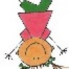 Nutzerbild von Polonca Teran