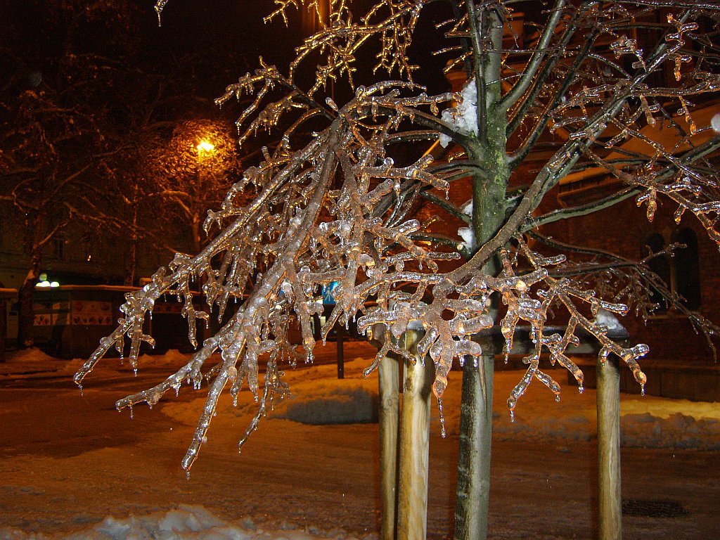Priponka zima-maribor 029m.jpg
