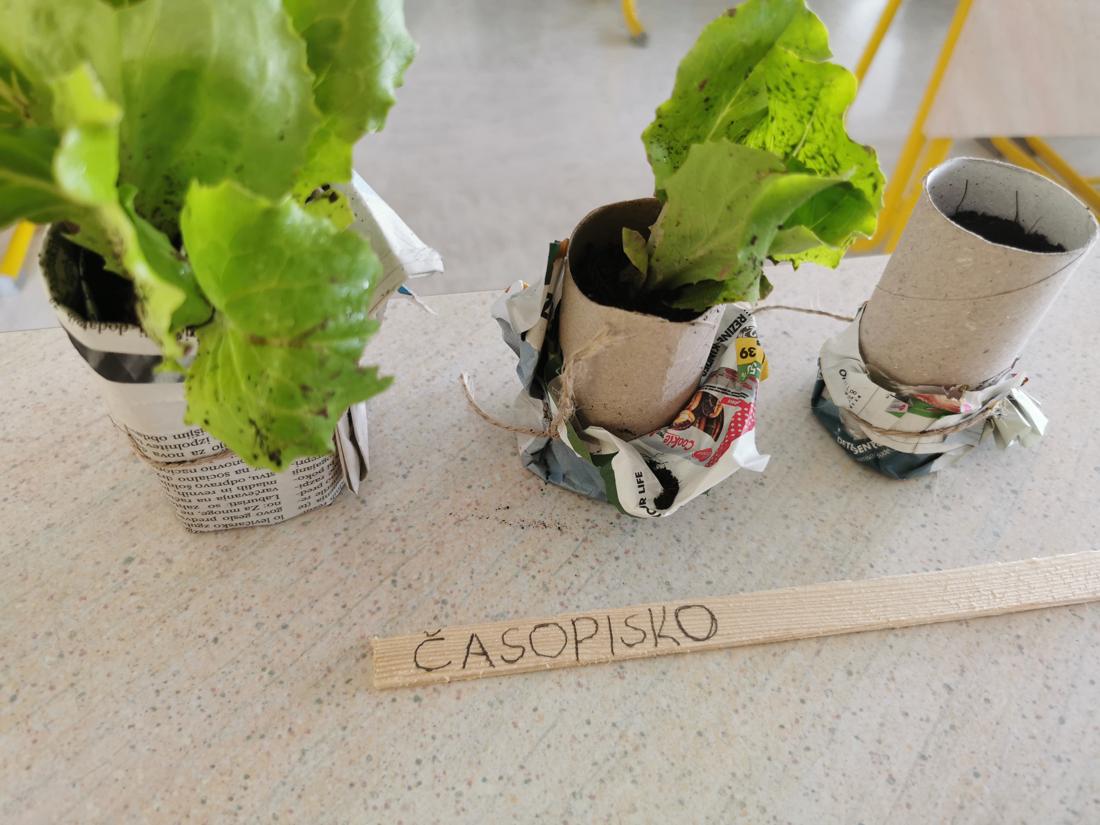 Časopisko